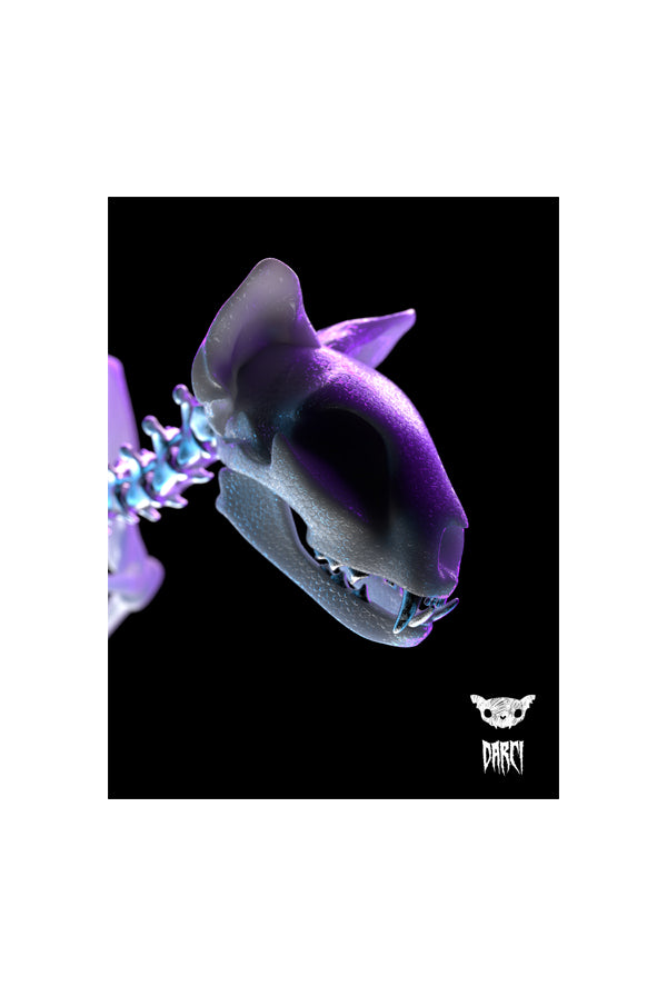 Darci | Official Merchandise